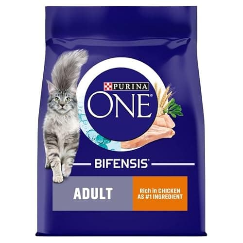 Image of PURINA ONE Bifensis formula Adult Chicken & Whole Grains Dry Cat Food 800 gram.