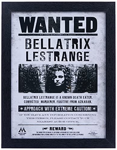 Image of Harry Potter FP10612P-PL Framed Memorabilia, Bellatrix Wanted, 30 x 40cm