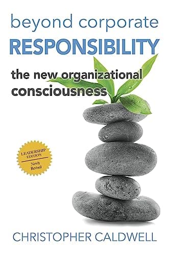 Image of Beyond Corporate Responsibility: The New Organizational Consciousness - Leadership Edition