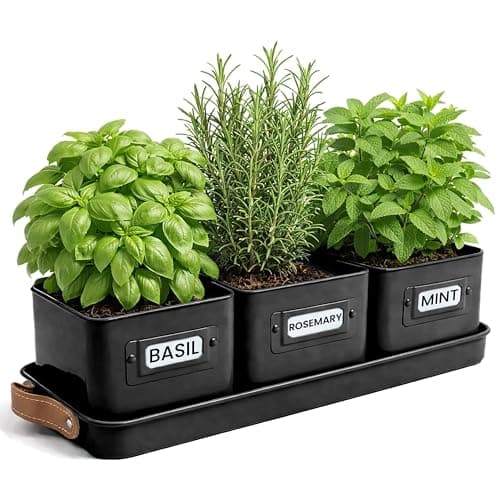 Image of Green Thumbz Herb Pots for Kitchen Windowsill - Set of 3 Black Herb Planter Indoor with Leather Handled Tray - Ideal for an Indoor Herb Garden, Plants and Flowers - Labels Included