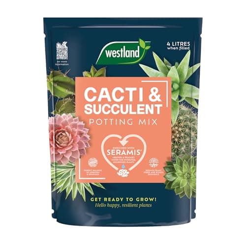 Image of Westland Cacti & Succulent Potting Mix 4L Peat Free Soil
