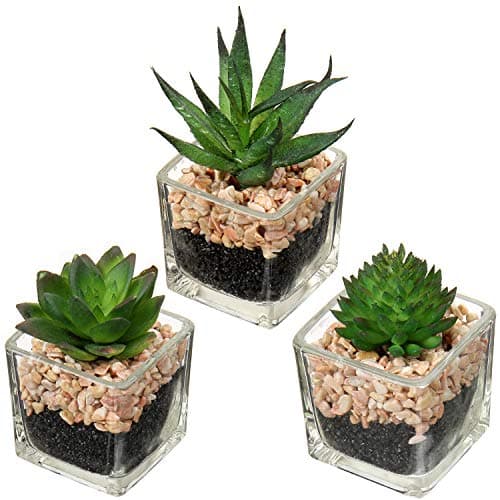 Image of Briful Artificial Succulents Fake Succulent Plants Potted in Mini Square Clear Glass Pots Set of 3 Faux Succulents Small Artificial Succulent Plants Great for Office Home Decor