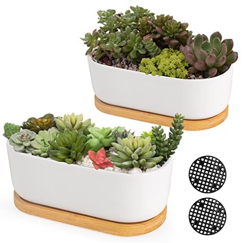 Image of ARVINKEY White Ceramic Succulent Plant Pots, Indoor and Outdoor Succulent Planters, Set of 2 Small Cactus Containers, Bonsai Pots, Flower Pots with Drainage Hole and Bamboo Bowl (No Plant)