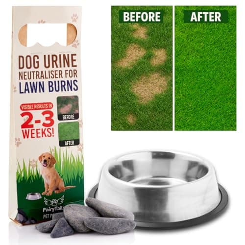 Image of Fairy Tails' Pet Pebbles - Mineral Rocks for Dog Water Bowls, Dog Urine Neutralizer Rocks for Lawn Burns, Patch Repair/Preventer Stones & Dog Wee Neutraliser for Grass - Stones for Dogs Water Bowl