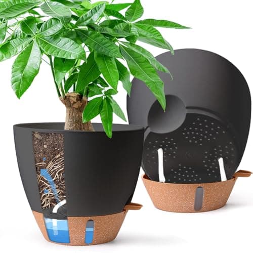 Image of T4U 25cm Self Watering Plant Pots Indoor 2 Pack, Water Level Indicator & Deep Reservoir, Mess-Free Planters for Busy Homes and Beginners, Fit Peace Lily and Snake Plants, Sheltered Outdoor Use(Black)