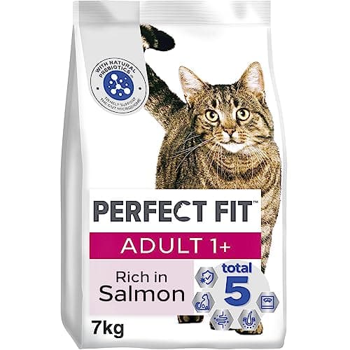 Image of Perfect Fit Adult 1+ Complete Dry Cat Food for Adult Cats Aged 1+ Years, Rich in Salmon, 1 Bag (7 kg)