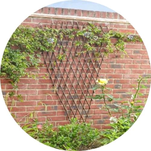 Image of Gardening Naturally Willow Fan Shaped Trellis – 1.8m High, Expanding Width up to 1.5m, Ideal for Garden Walls and Fences
