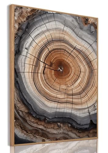 Image of IBHJSART Framed Tree Ring Canvas Wall Art Vintage Colorful Wood Stump Painting Prints Modern Minimalist Pictures Neutral Nature Rustic Farmhouse Decor Living Room Bedroom Bathroom Office