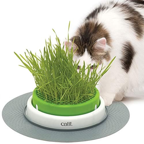 Image of Catit Senses 2.0 Grass Planter
