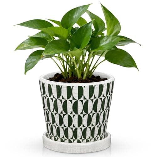 Image of Oairse 14cm Green and White Ceramic Plant Pot with Drainage Hole & Saucer, Crackle Glaze Flower Pot for Indoor Plants, Decorative Planter for Home, Office, Windowsill, Outdoor