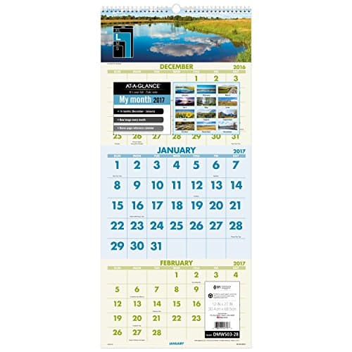 Image of AT-A-GLANCE Wall Calendar 2017, 3 Month View, 12 x 27", Scenic (DMW503-28)