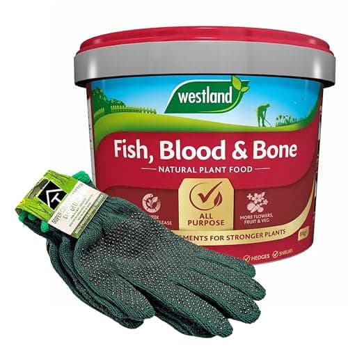 Image of Fish, Blood & Bone Plant Food with Garden Gloves - 8kg All Purpose Natural Fish Blood & Bone Fertiliser with 2 Pairs of Gloves for Gardening. Growmore Fertilizer Plant Feed Granules