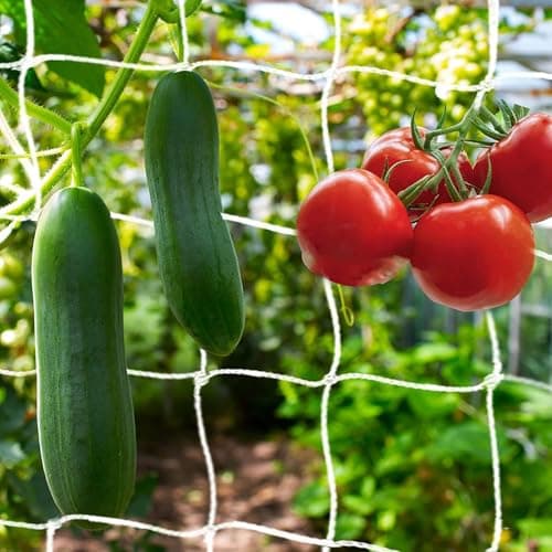 Image of KINGLAKE Pea and Bean Netting, 5x15 Feet White Garden Trellis Netting for Climbing Plant, Polyester Plant Support Net for Runner Bean, Sweet Pea, Climber, Vegetables, Flower, Fruits