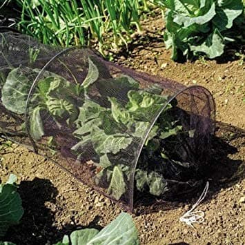 Image of LARGE 3m CLOCHE GROW TUNNEL NETTING. PROTECT PLANTS FROM BIRD DAMAGE
