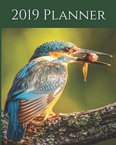 Image of 2019 Planner: Weekly Planner & Monthly Calendar - Diary, Journal, Nature, Wildlife, Birds, Kingfisher - 8x10" (Creative Fusion Planners)