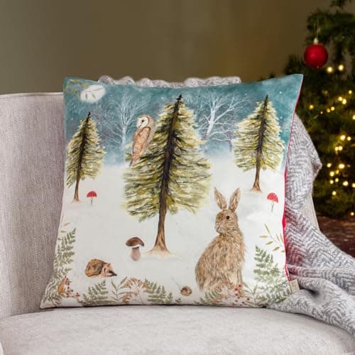 Image of Evans Lichfield Christmas Owl Velvet Cushion Cover