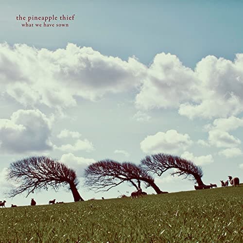 Image of What We Have Sown [VINYL]