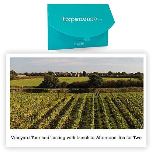 Image of Buyagift Vineyard Tour & Tasting Experience with Lunch or Afternoon Tea for 2