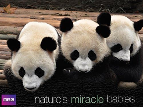 Image of Natures Miracle Babies