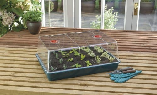 Image of XL High Dome Propagator [AMAZON ONLY]