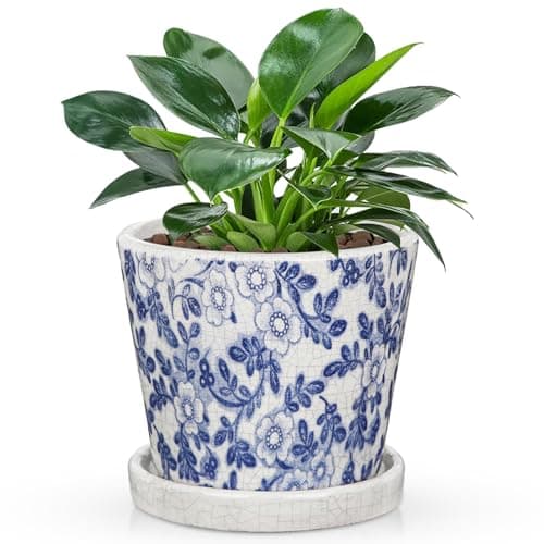 Image of Oairse Blue and White Ceramic Plant Pot with Drainage Hole & Saucer, 14cm Flower Pot for Indoor Outdoor Plants, Crackle Glaze Porcelain Planter for Houseplants, Succulents, Herbs & Home Decor