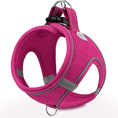 Image of Joytale Step in Dog Harness, Soft Mesh Reflective Breathable Vest Harnesses, Easy Walk Harness with Safety Buckle for Small and Medium Dogs, M, Hotpink