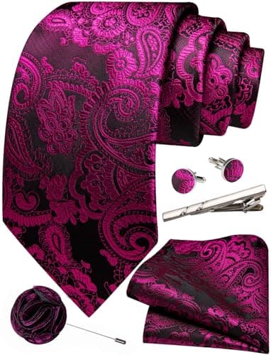 Image of Ailisus Black Hot Pink Ties for Men Paisley Silk Necktie and Pocket Square Cufflinks Lapel Pin Tie Clip Set Wedding Formal 5PCS