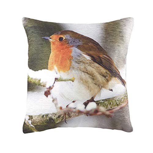 Image of Evans Lichfield Photo Robin Cushion Cover, Multi, 43 x 43 cm
