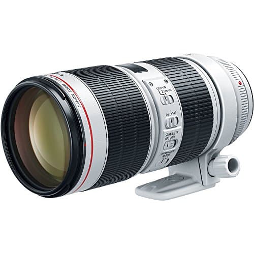 Image of Canon EF 70-200mm f/2.8L IS III USM Lens - Telephoto Zoom Lens for Photo & Video - 3.5-stop Image Stabilizer - Event, Sport, Wildlife Photography