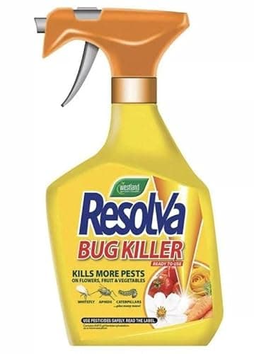 Image of Bug Killer - Resolva Ready to Use Bug Killer 1L with Thank You Sticker