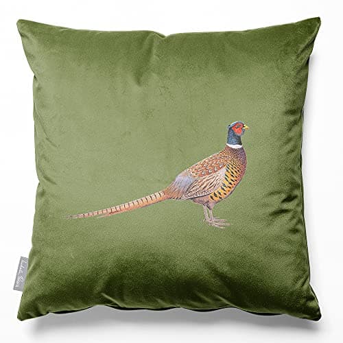 Image of Izabela Peters Filled Eco-Friendly Velvet Cushions With Covers, 50 cm, Pheasant - Sage, for Chair, Sofa, Seat, Large