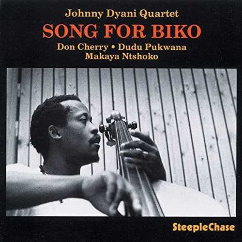 Image of Song for Biko