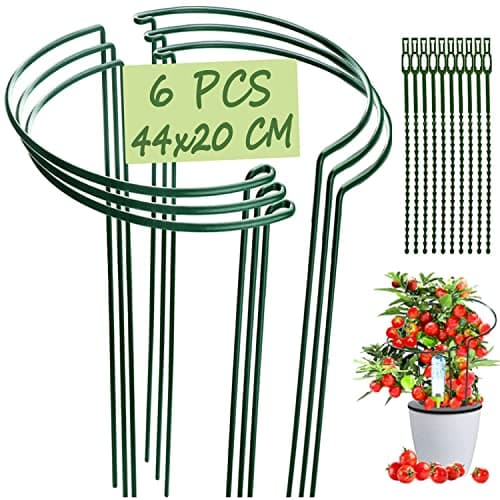 Image of VLYHGO 6PCS 44x20cm Plant Supports for Garden Half Round Ring Plant Support Large Metal Garden Supports for Tomatoes Tulips, Roses, Daisies, Lavender