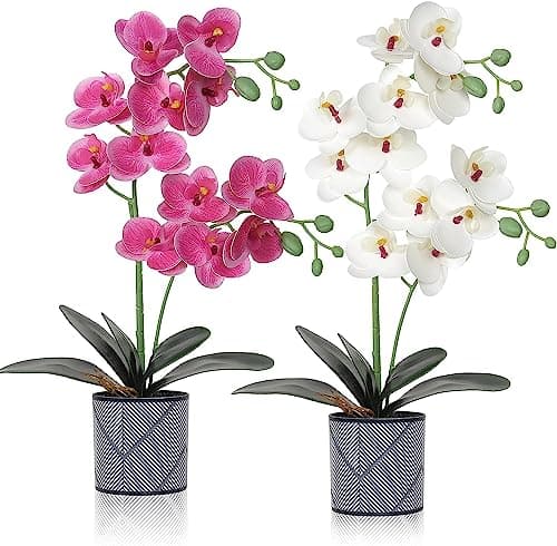 Image of LOMOHOO Artificial Orchid Flowers in Pot,2 pack Potted Orchid Plant Fake Phalaenopsis Flowers with Plastic Vase for Table Home Decor Office Wedding Party Decoration