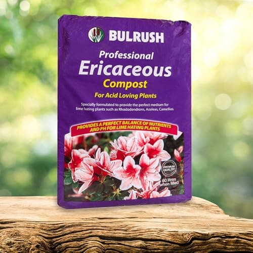 Image of YouGarden Ericaceous Professional Compost 60L Bag - Acid Loving Plants - Rhododendrons, Azaleas, Camellias & Similar - Garden Compost for Borders & Pots