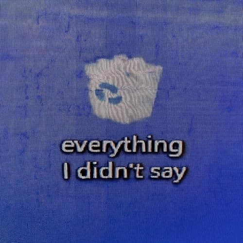 Image of everything i didnt say