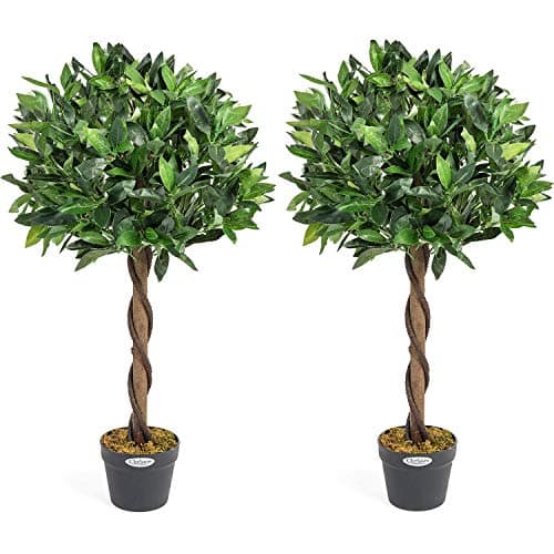 Image of Christow Artificial Bay Tree In Pot, Large 3ft 4ft Tall Indoor Outdoor Garden Topiary Ball, Twisted Wooden Trunk, Realistic Lush Green Leaves, Home Office Restaurant (3ft, 2 pack)