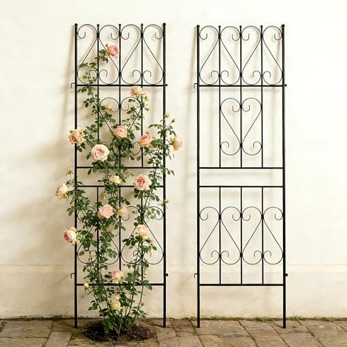 Image of Thealyn 2 Pack Garden Trellis for Climbing Plants Outdoor, 180cm H x 50cm W Rustproof Metal Plant Support, Heavy Duty Iron Vegetable Flower Trellis for Rose, Cucumber, Clematis, Ivy Vines, Black