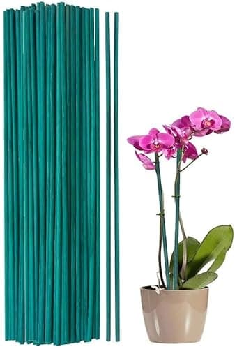 Image of Pack of 50 Green Flower Sticks Bamboo Split Canes Plant Support Stakes (12" - 30cm Long)
