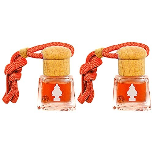 Image of Little Trees Air Freshener Bottle LTBZ3 Forest Fruit Fragrance For Car Home Boat Caravan - Double Pack