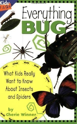 Image of Everything Bug: What Kids Really Want to Know about Bugs (Kids' FAQs) by Winner, Cherie (4/1/2004)