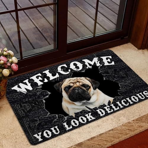Image of Bioputty You Look Delicious Front Door Mat, Funny Pug Dog Doormat, Non Slip Absorbent Door Entry Mats,Welcome Doormats Entrance Small Rugs - Easy to Clean Floor Mats for Home Kitchen Bathroom Decor