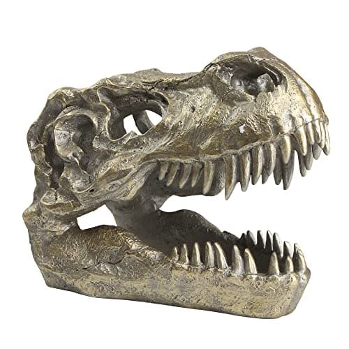 Image of HEINBOW T-rex Skull Dinosaur Head Trophy Faux Taxidermy Statue Tyrannosaurus Rex Head Skull Sculpture Fossil Figurine Home Desktop Man Cave Decor 7.6''Long