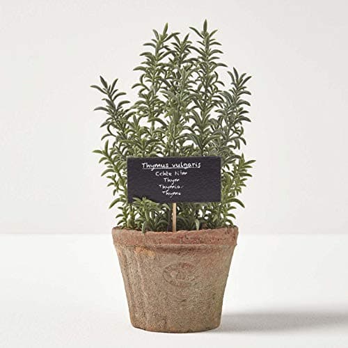 Image of HOMESCAPES Artificial Thyme in Terracotta Pot Decorative Faux Herbs Potted in Decorative Distressed Planter for Indoor Decoration, 16 cm Tall
