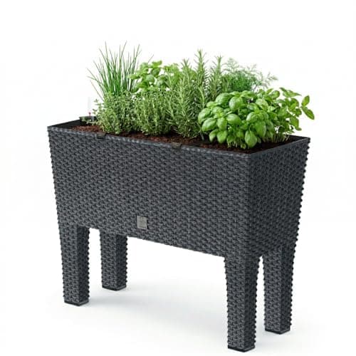 Image of Prosper Plast DRTC600H-S433 60 x 25 x 46 cm Rato Case High Flowerpot - Anthracite (12-Piece)