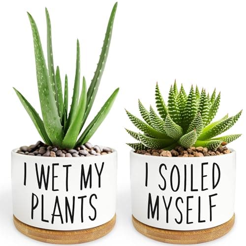 Image of 2 Pack I Wet My Plants - Funny Ceramic Planter Pot with Drainage, Cactus Pot, Cute Succulent Pots,Aloe Vera Plant Pot,Funny Plant Gifts for Women, Friends, Coworker