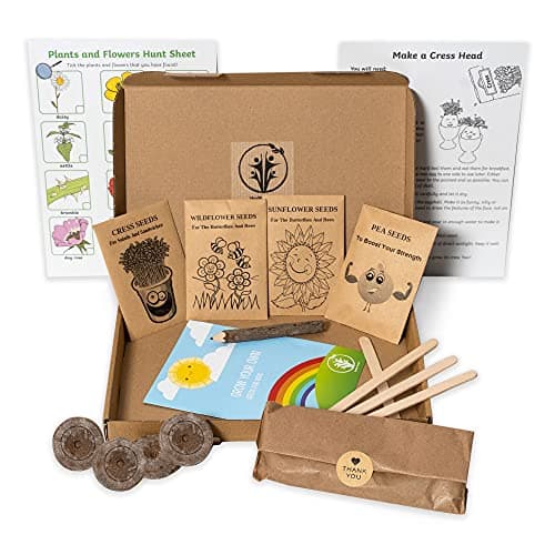 Image of Kids Gardening Set, Grow Your own kit for Children, Wildflower Seeds, Garden Set for Kids, Seed Kits for Kids, Kids Survival kit, Childrens Gardening Set, Kids Activity Pack (Grow Your Own)