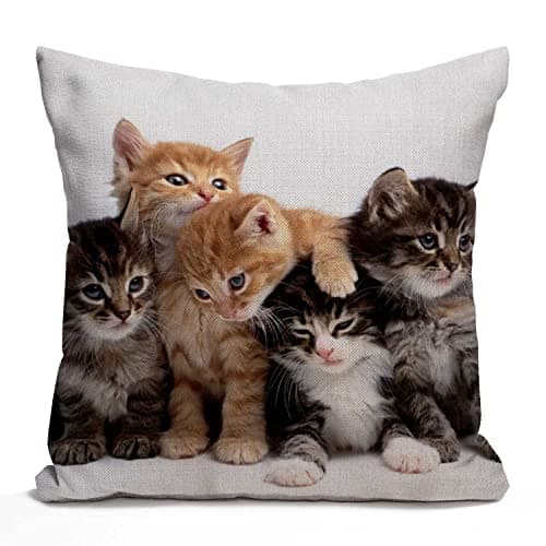 Image of Tomda Cute Cats Decorative Cushion Cover 45x45cm, Kittens Family Cats Cotton Linen Outdoor Pillow Cases Square Standard Throw Pillow Cover Case for Sofa Couch Bed Car 18x18 inch