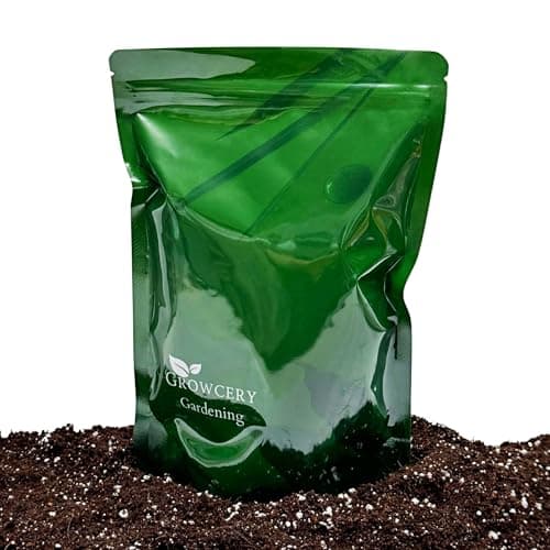 Image of Premium Succulent & Cacti Potting Mix with Activated Biochar – Free-Draining Soil for Indoor & Outdoor Cactus & Succulent Plants (1L)