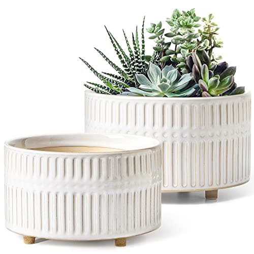 Image of LE TAUCI Succulent Pots, 16.5+20 cm Ceramic Indoor Plant Pots with Drainage Holes, Modern Cylindrical Decorative Flower Pot, Gifts for Mom, Set of 2, Reactive Glaze White